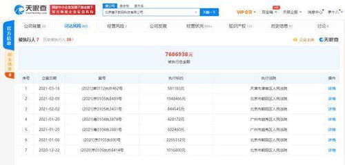 錘子科技關聯公司再成被執行人，面臨58萬執行標的